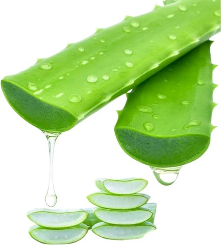 Aloe Vera Oil