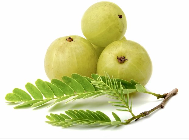 Natural Amla Extract Oil