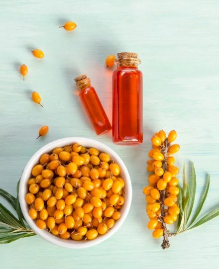 Sea Buckthorn Pulp and Oil