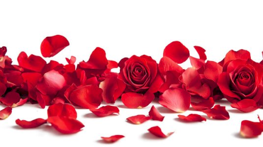 Natural Rose water
