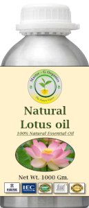 Lotus oil