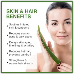Aloe Vera Gel