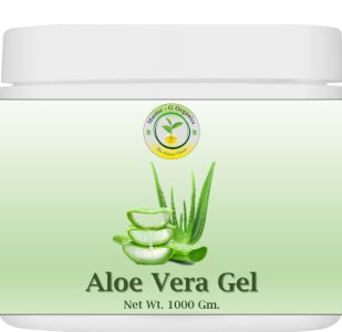 Aloe Vera Gel